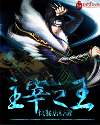 龙印战神小说