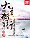 大道独行小说