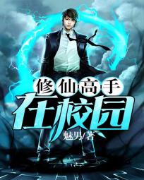 修仙高手在校园小说