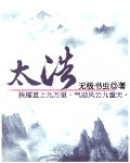 太浩小说