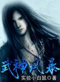 武神风暴小说
