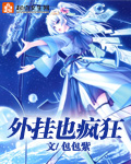 外挂也疯狂小说
