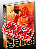 妻妾成群小说