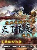 天下节度小说