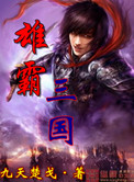 雄霸三国小说