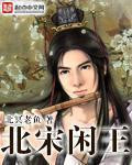 北宋闲王小说