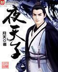 夜天子小说