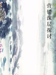 营销深层探讨小说