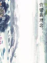 营销新理念小说