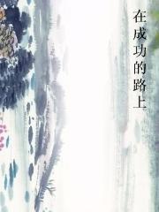 在成功的路上小说
