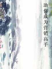 助你成为营销高手小说