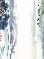 交际的美丽小说