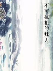 不可抗拒的魅力小说
