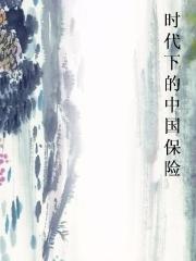 时代下的中国保险小说