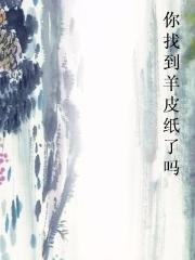 你找到羊皮纸了吗小说