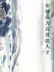 如何成为高效能人才小说