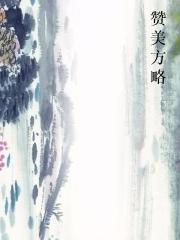 赞美方略小说