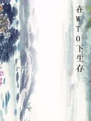 在WTO下生存小说