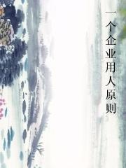 一个企业用人原则小说