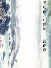 成功在21世纪--营销篇小说