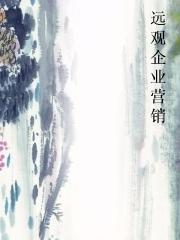 远观企业营销小说