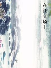 在社交场上小说