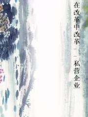 在改革中改革--私营企业小说