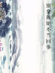 别拿规矩不当回事小说