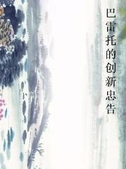 巴雷托的创新忠告小说