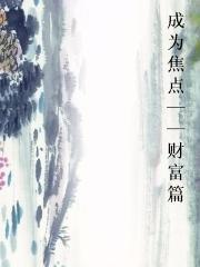 成为焦点——财富篇小说