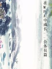 在MPA中成长--公务员篇小说