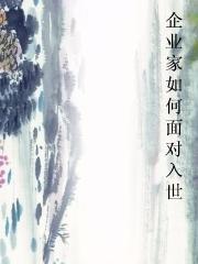 企业家如何面对入世小说