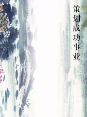 策划成功事业小说