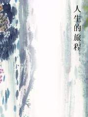 人生的旅程小说