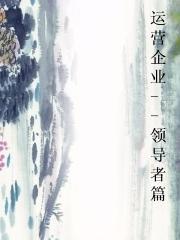 运营企业--领导者篇小说