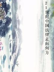 21世纪中国法律走向何方小说