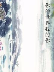 你的世界我的你小说