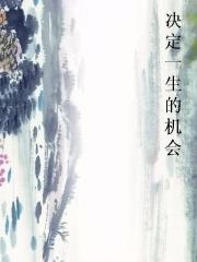 决定一生的机会小说