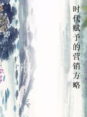 时代赋予的营销方略小说